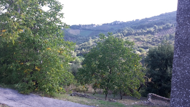 Casa singola in vendita a Serramonacesca