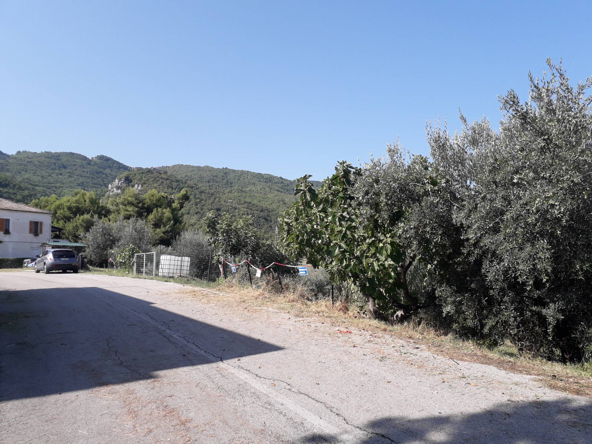 Terreno agricolo ed edificabile in vendita a Serramonacesca