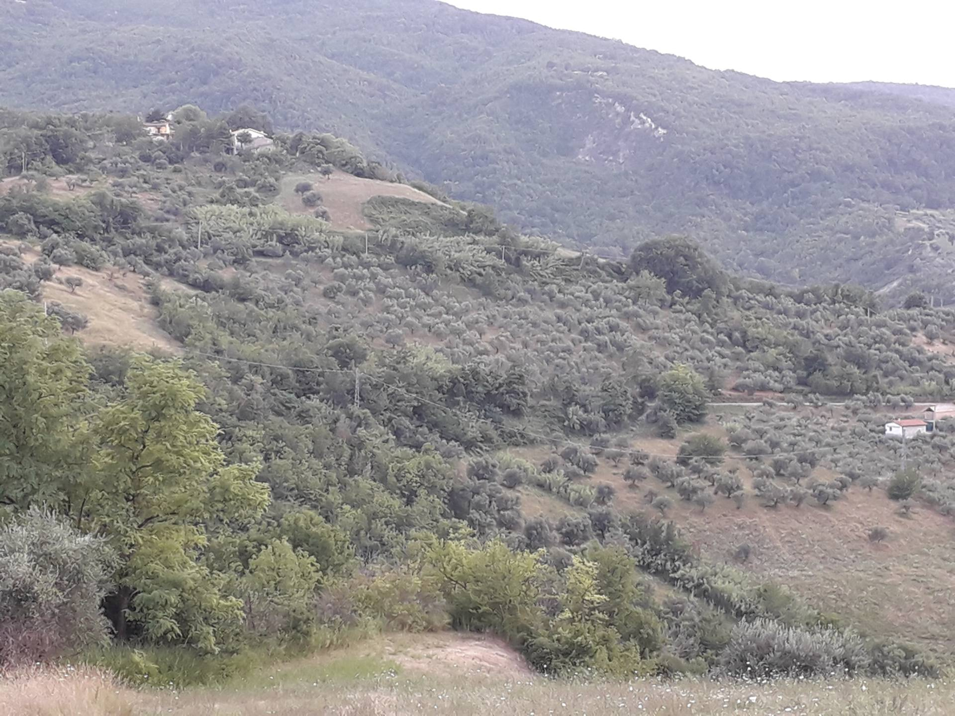 Terreno Agricolo in vendita a Serramonacesca