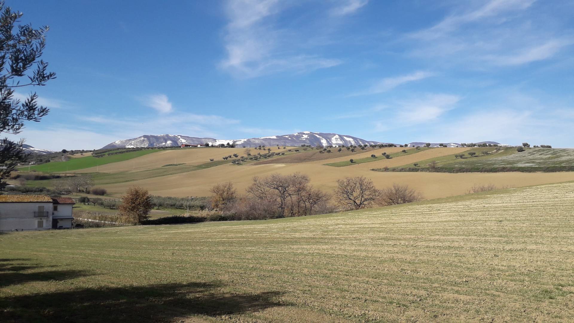 Terreno agricolo ed edificabile in vendita a Alanno