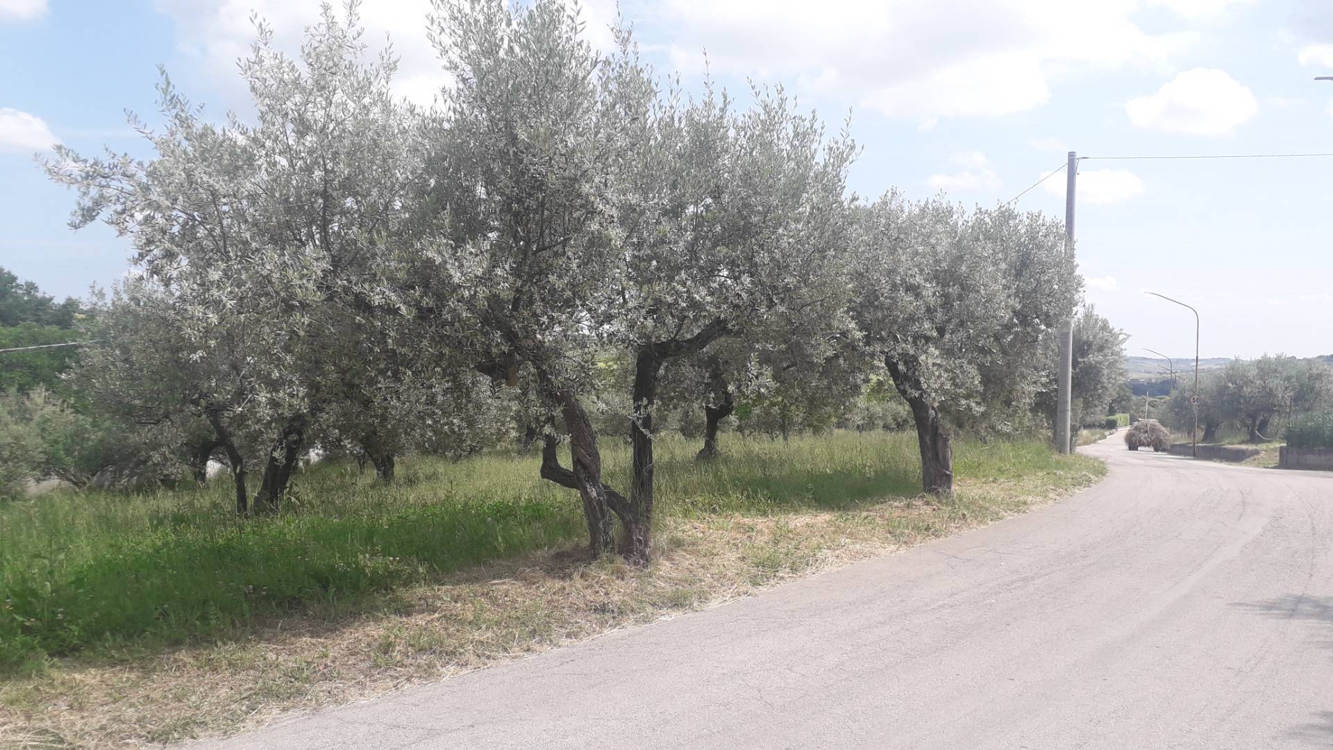 Terreno edificabile in vendita a Alanno