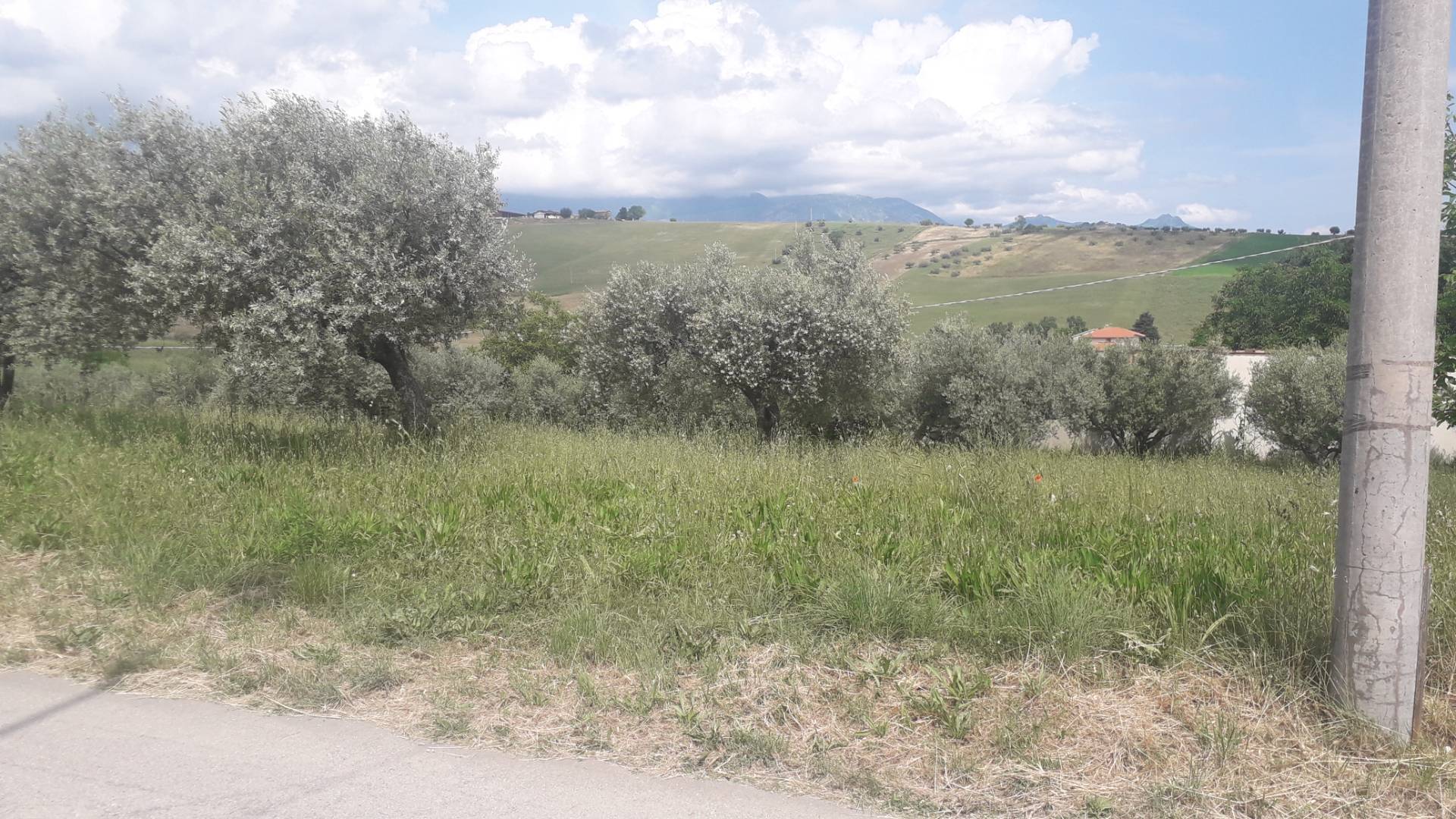 Terreno edificabile in vendita a Alanno