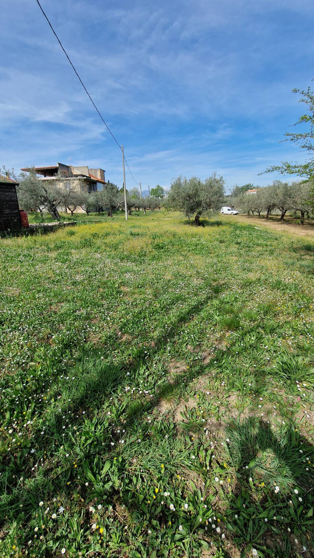 immagine annuncio 1 di 8