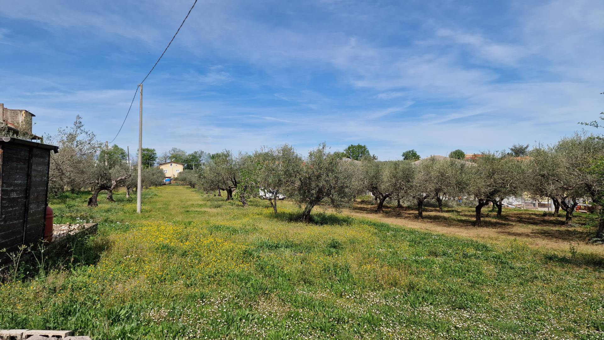 immagine annuncio 2 di 8