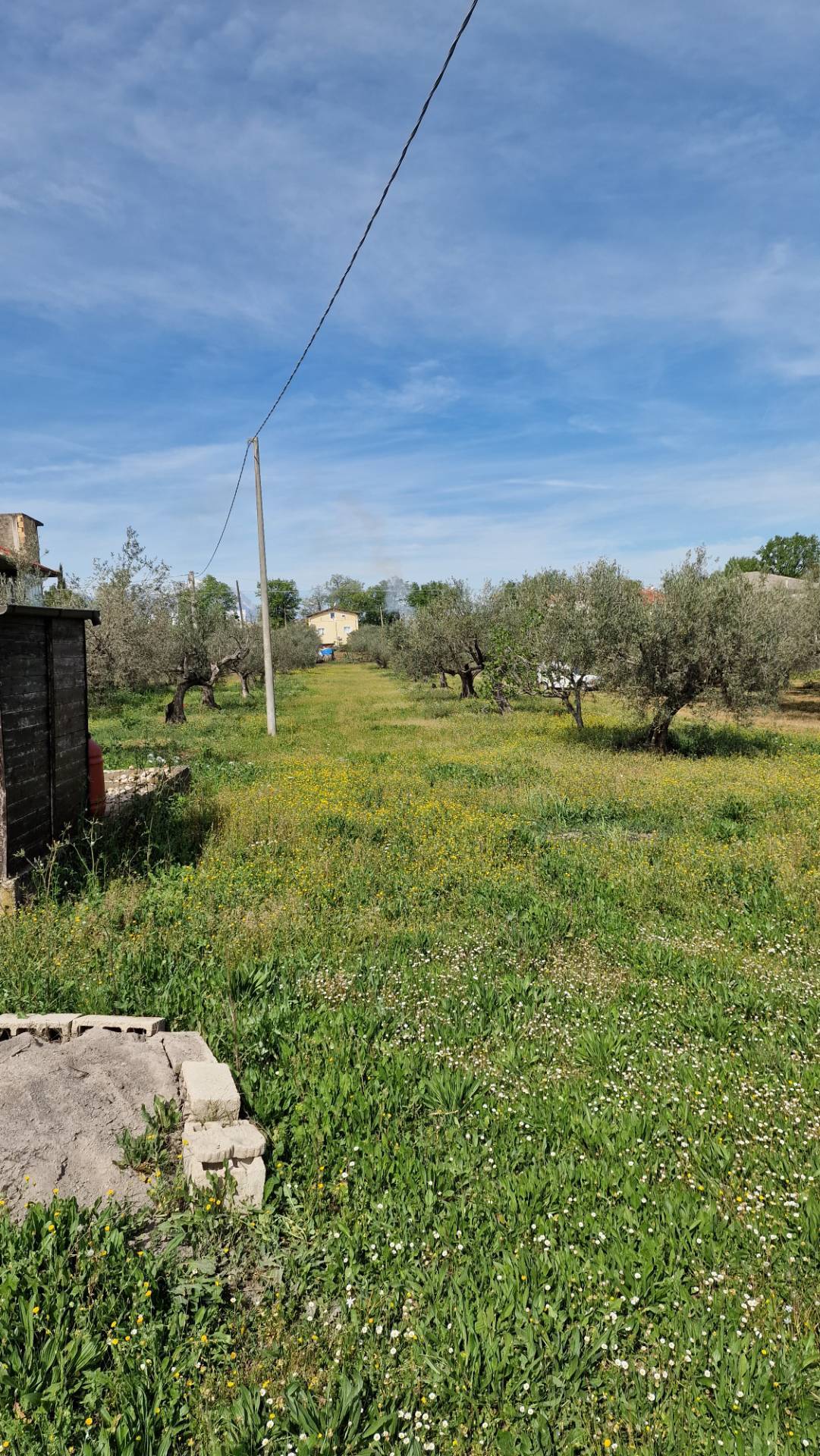 immagine annuncio 3 di 8