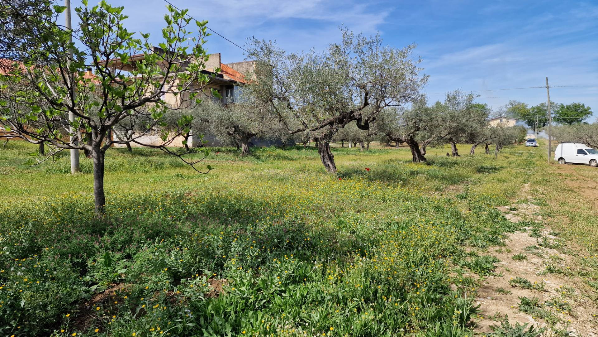 immagine annuncio 4 di 8