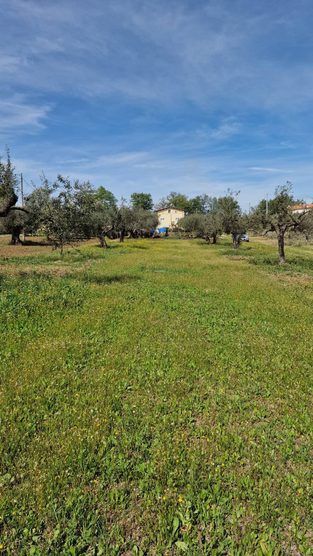 immagine annuncio 6 di 8