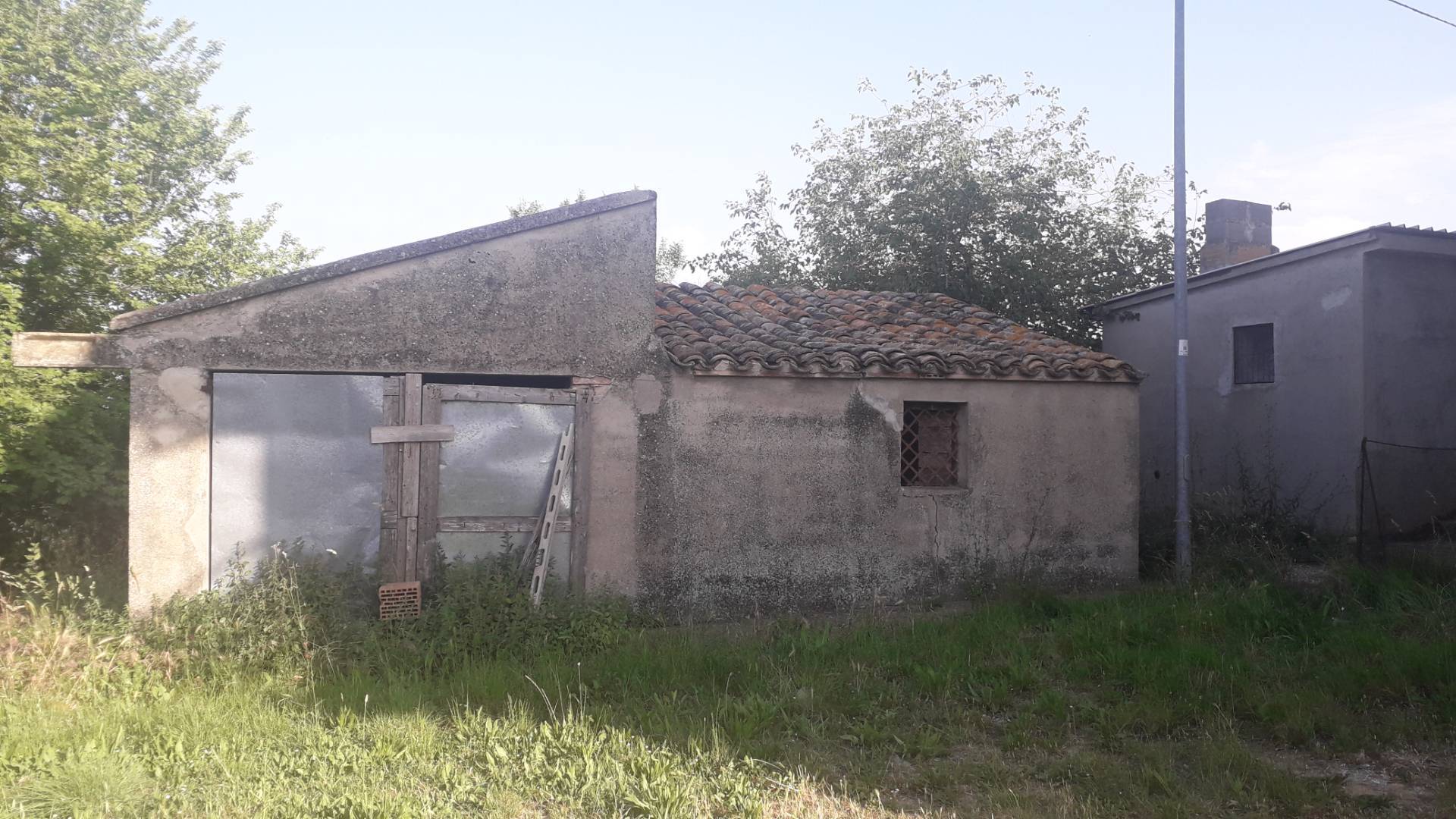 Terreno Agricolo in vendita a Alanno