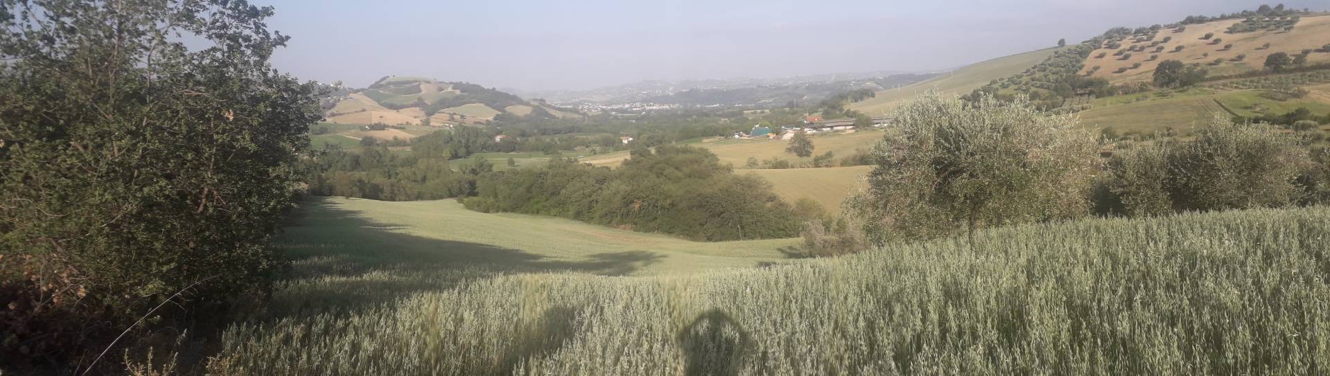 Terreno Agricolo in vendita a Alanno