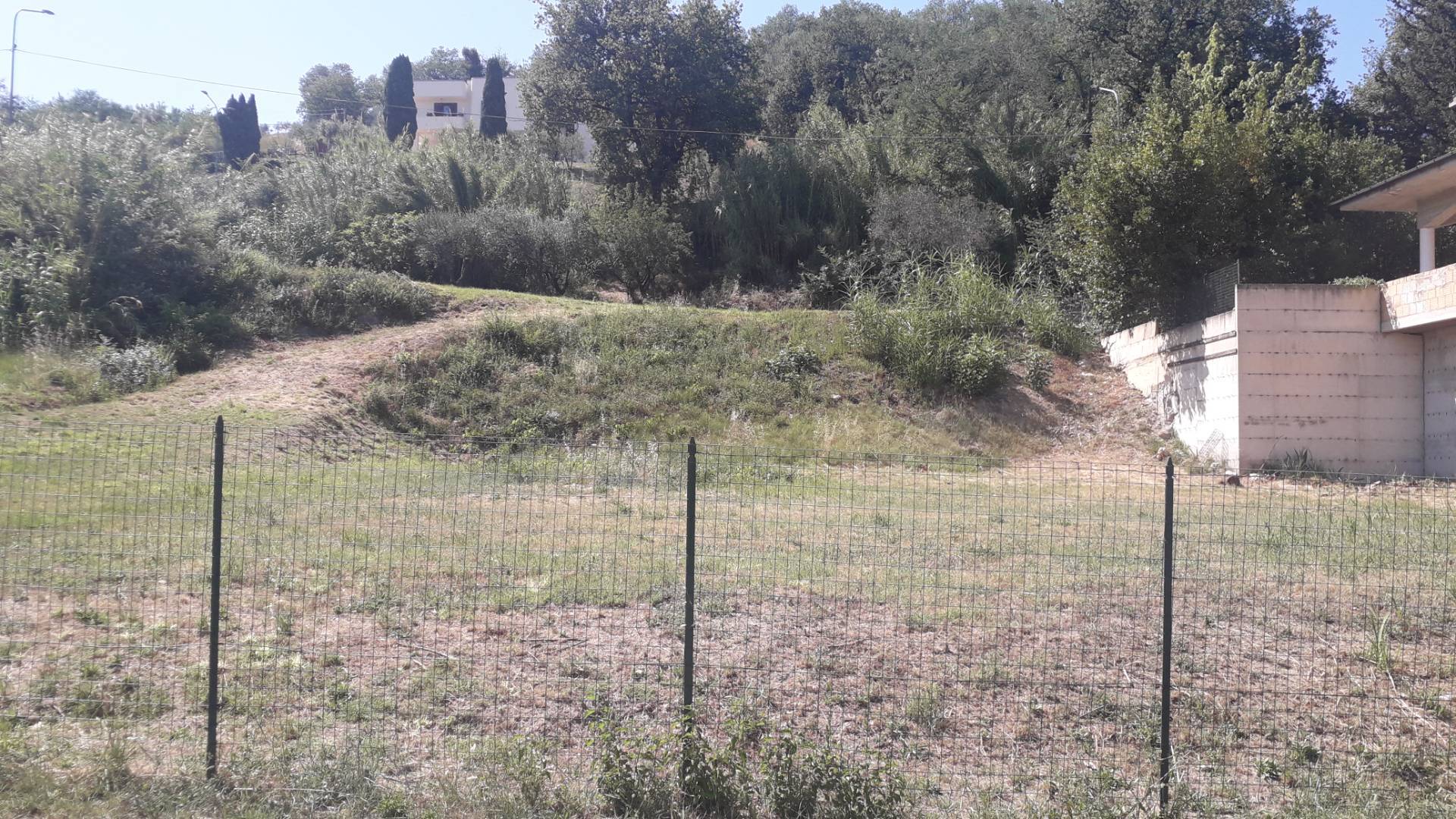 immagine annuncio 3 di 8