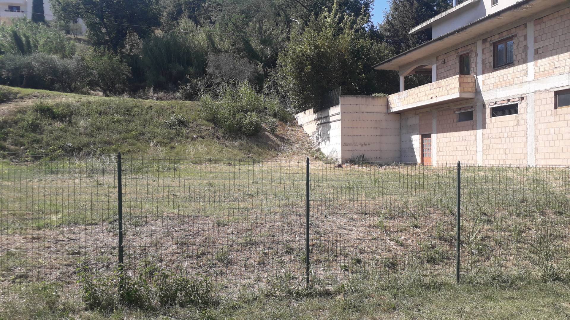 immagine annuncio 4 di 8