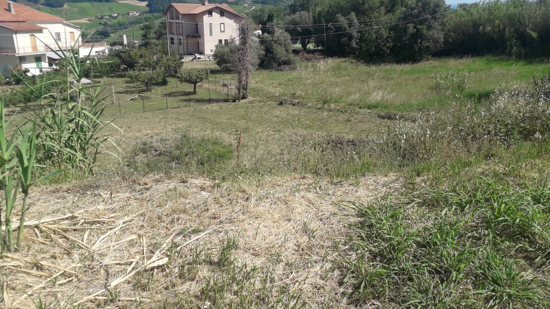 immagine annuncio 7 di 8