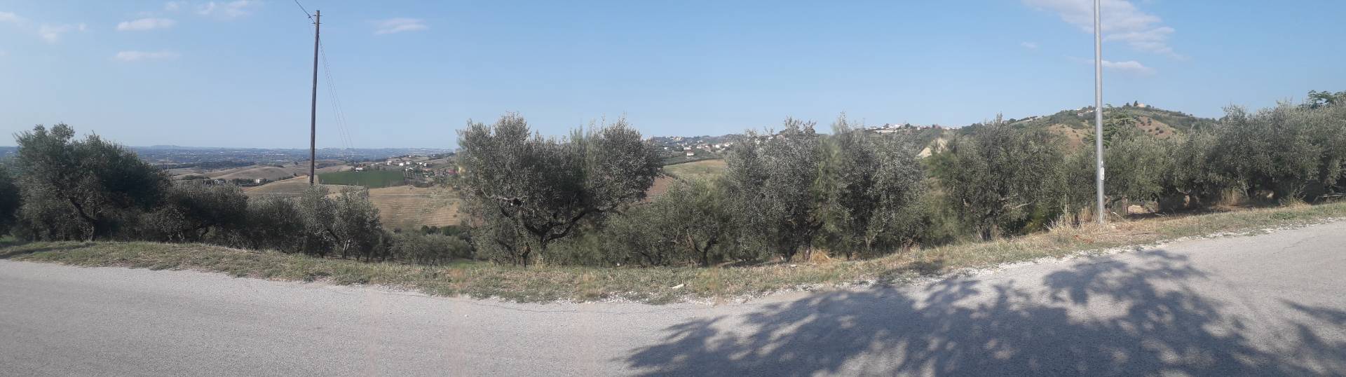 Terreno Agricolo in vendita a Manoppello, San Callisto