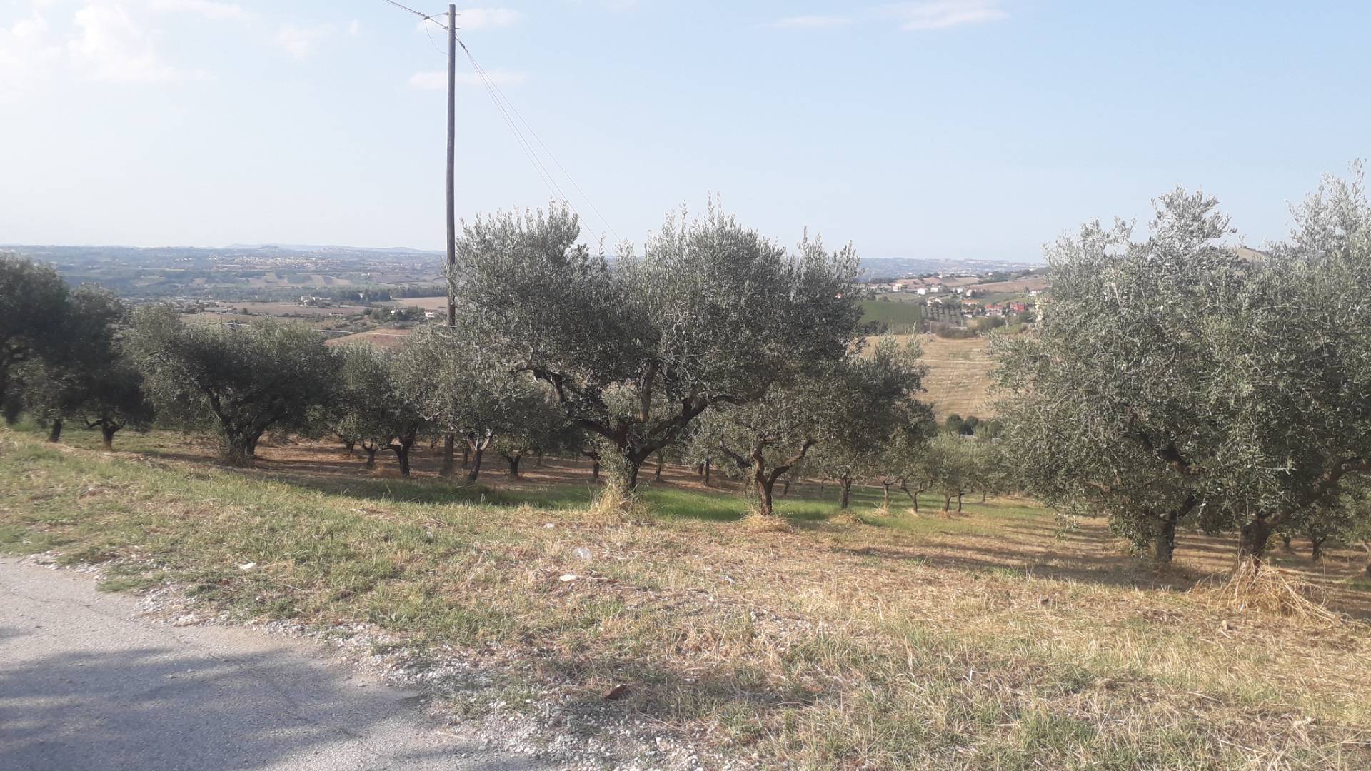 Terreno Agricolo in vendita a Manoppello, San Callisto