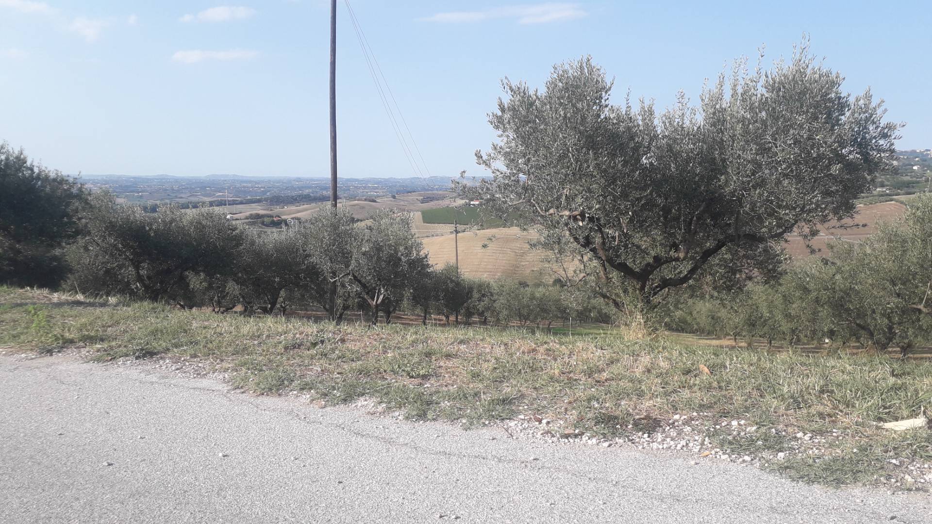 Terreno Agricolo in vendita a Manoppello, San Callisto