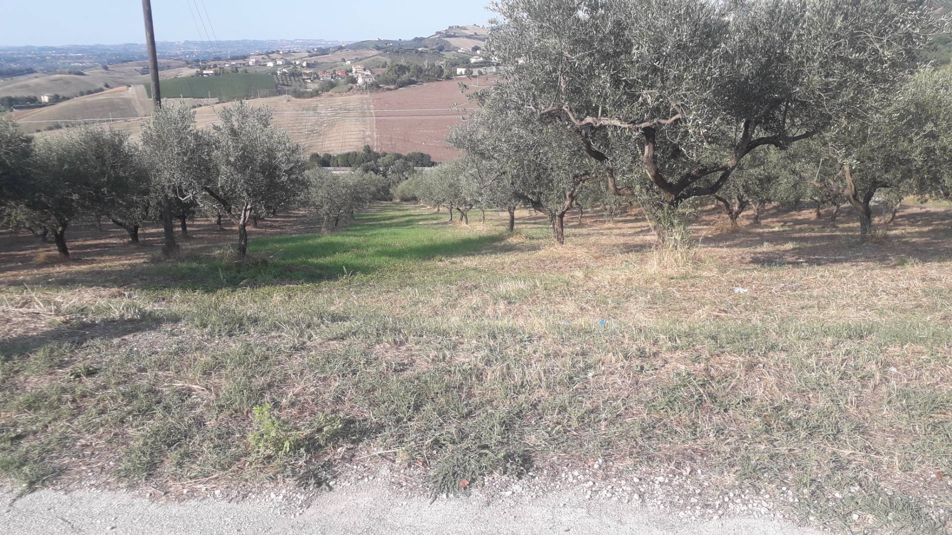 Terreno Agricolo in vendita a Manoppello, San Callisto
