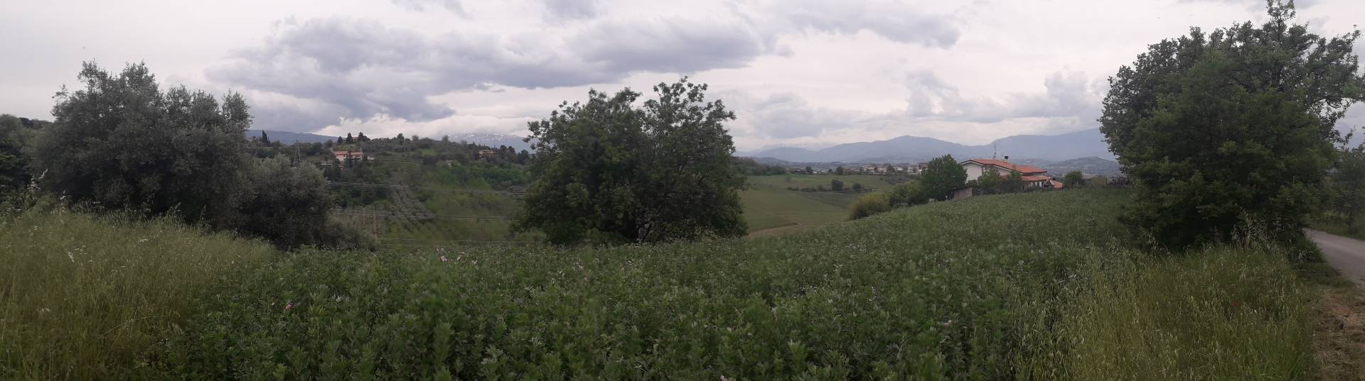 Terreno Agricolo in vendita a Casalincontrada
