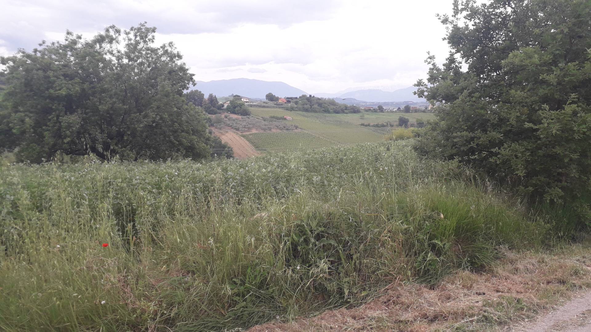 Terreno Agricolo in vendita a Casalincontrada