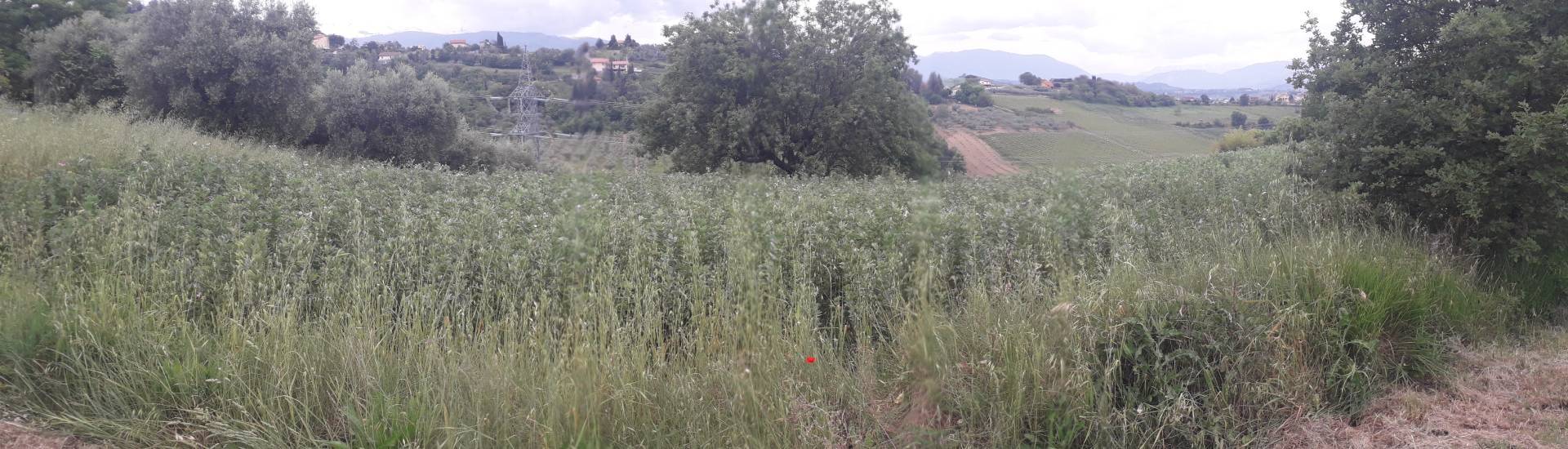 Terreno Agricolo in vendita a Casalincontrada