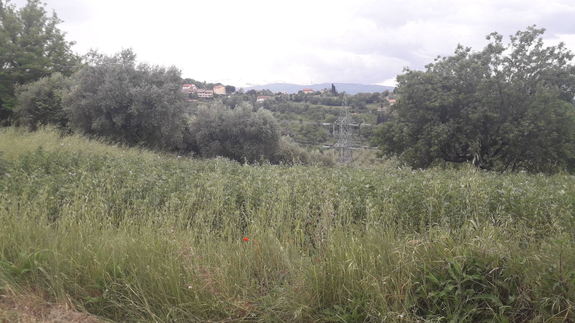 Terreno Agricolo in vendita a Casalincontrada