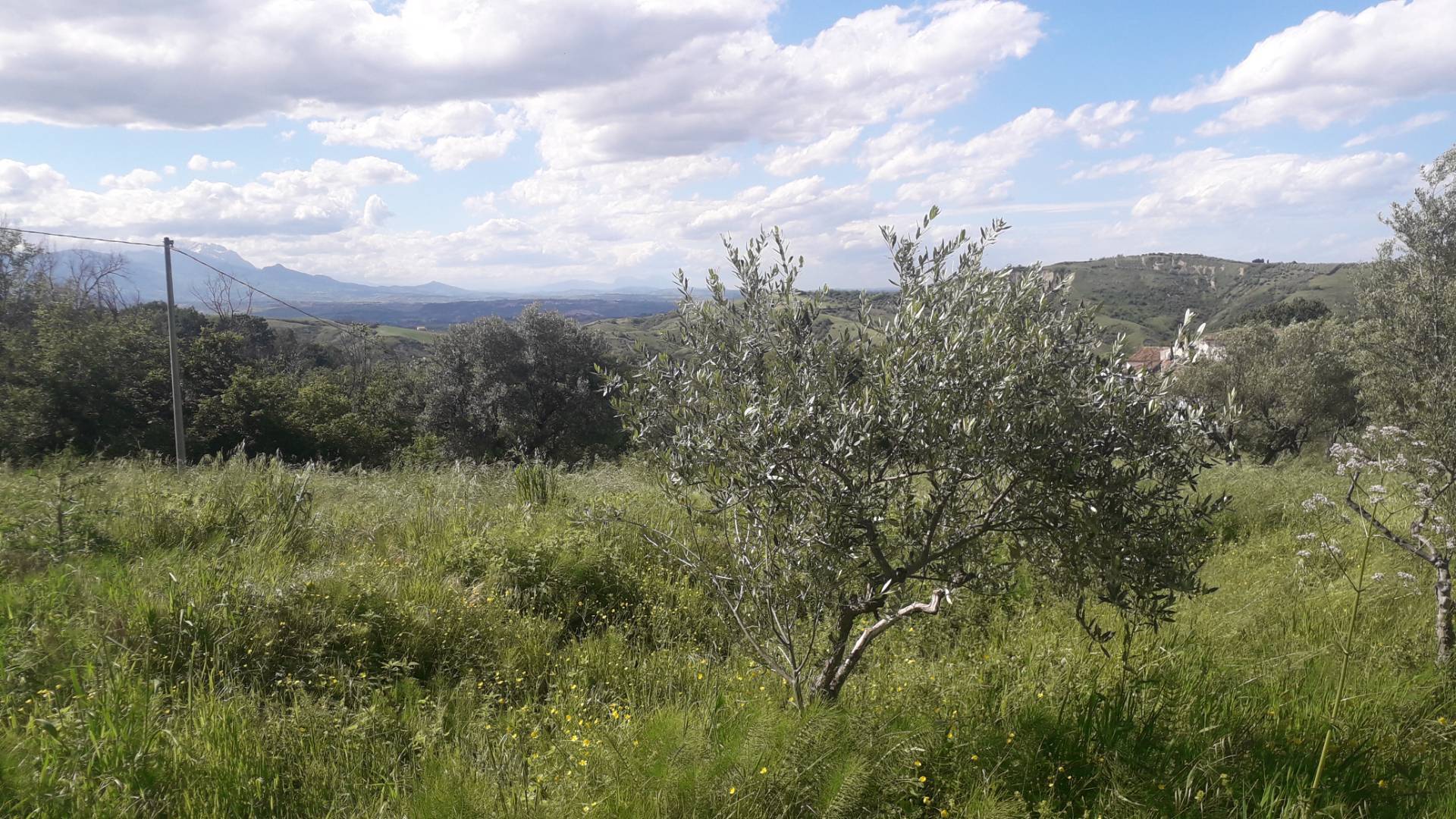 Magazzino in vendita a Roccamontepiano, Terranova