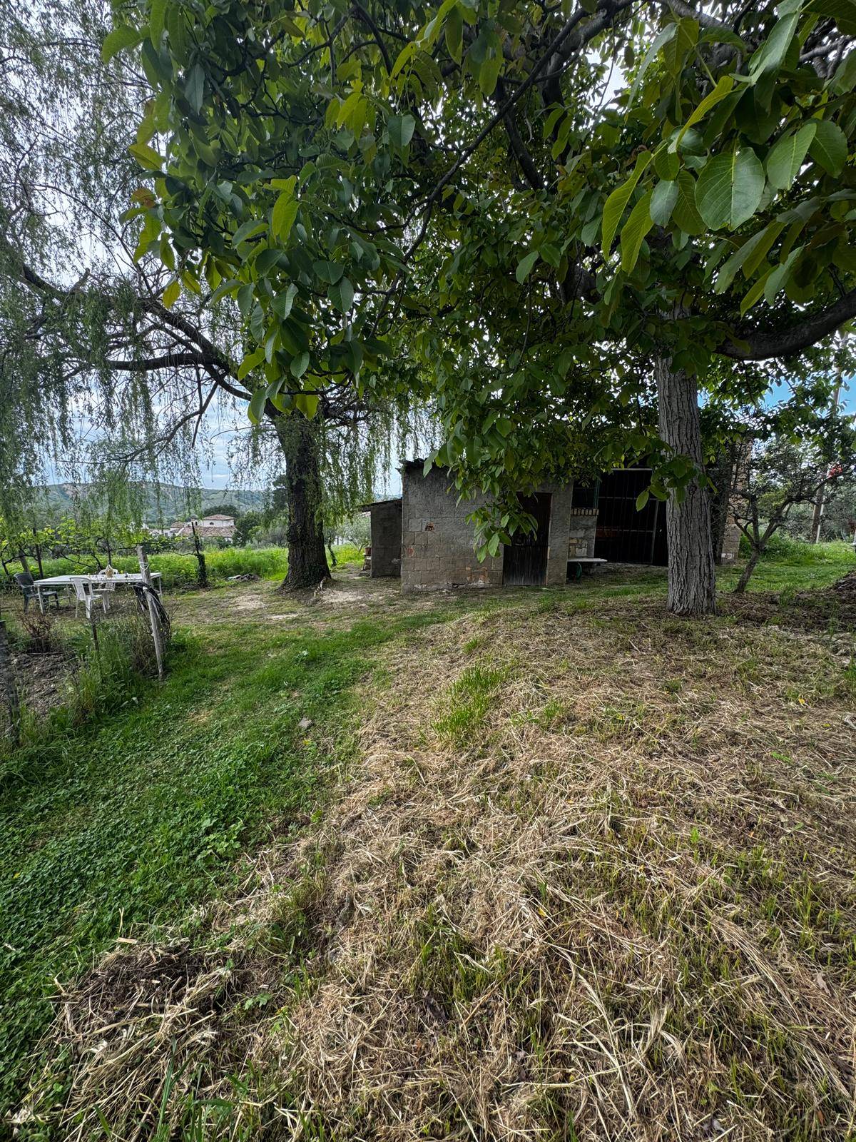 Magazzino in vendita a Roccamontepiano, Terranova