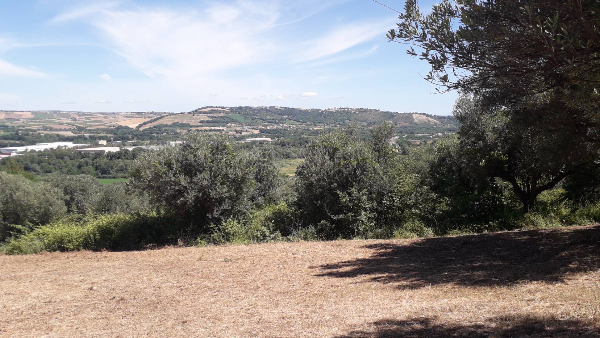 Terreno Agricolo in vendita a Manoppello