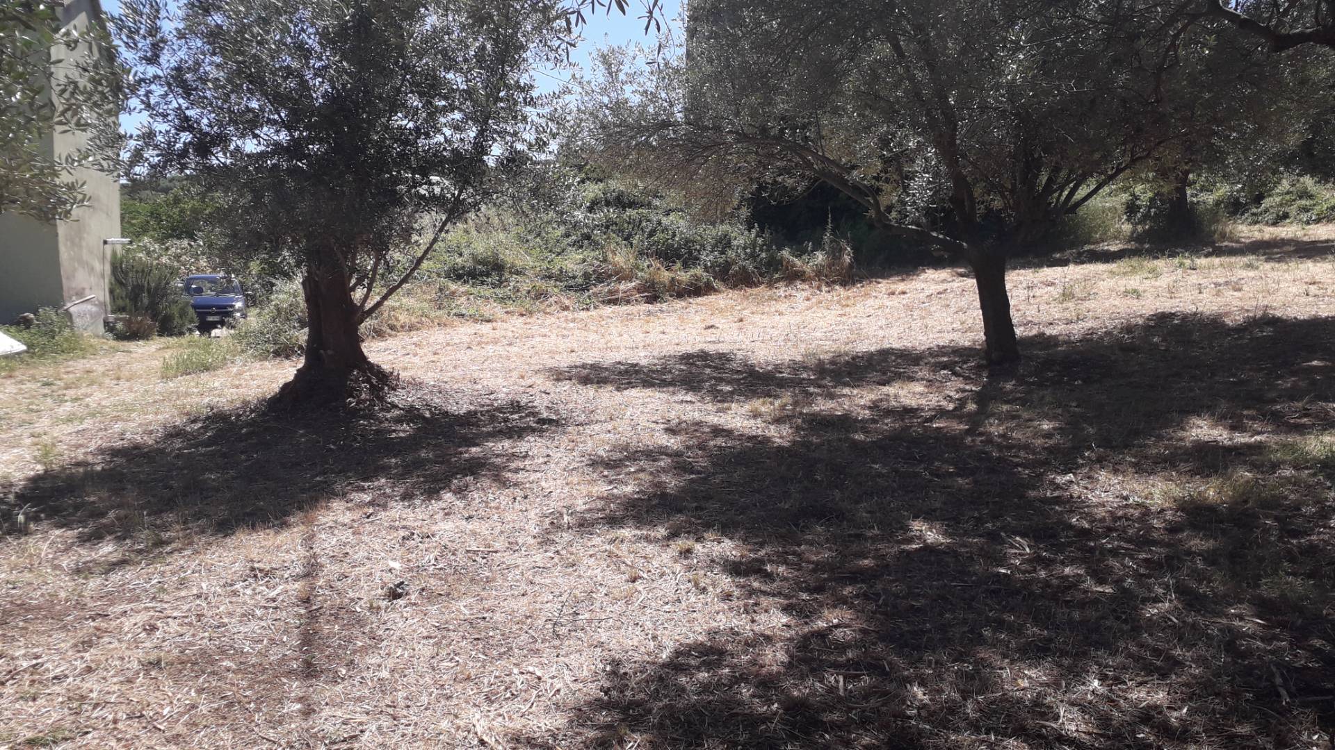 Terreno Agricolo in vendita a Manoppello