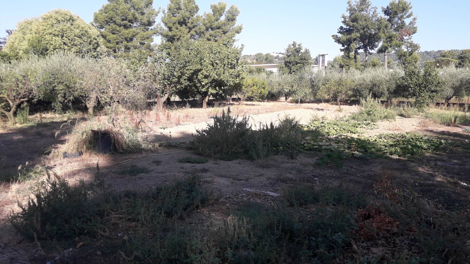 Terreno edificabile in vendita a Manoppello, Manoppello Scalo