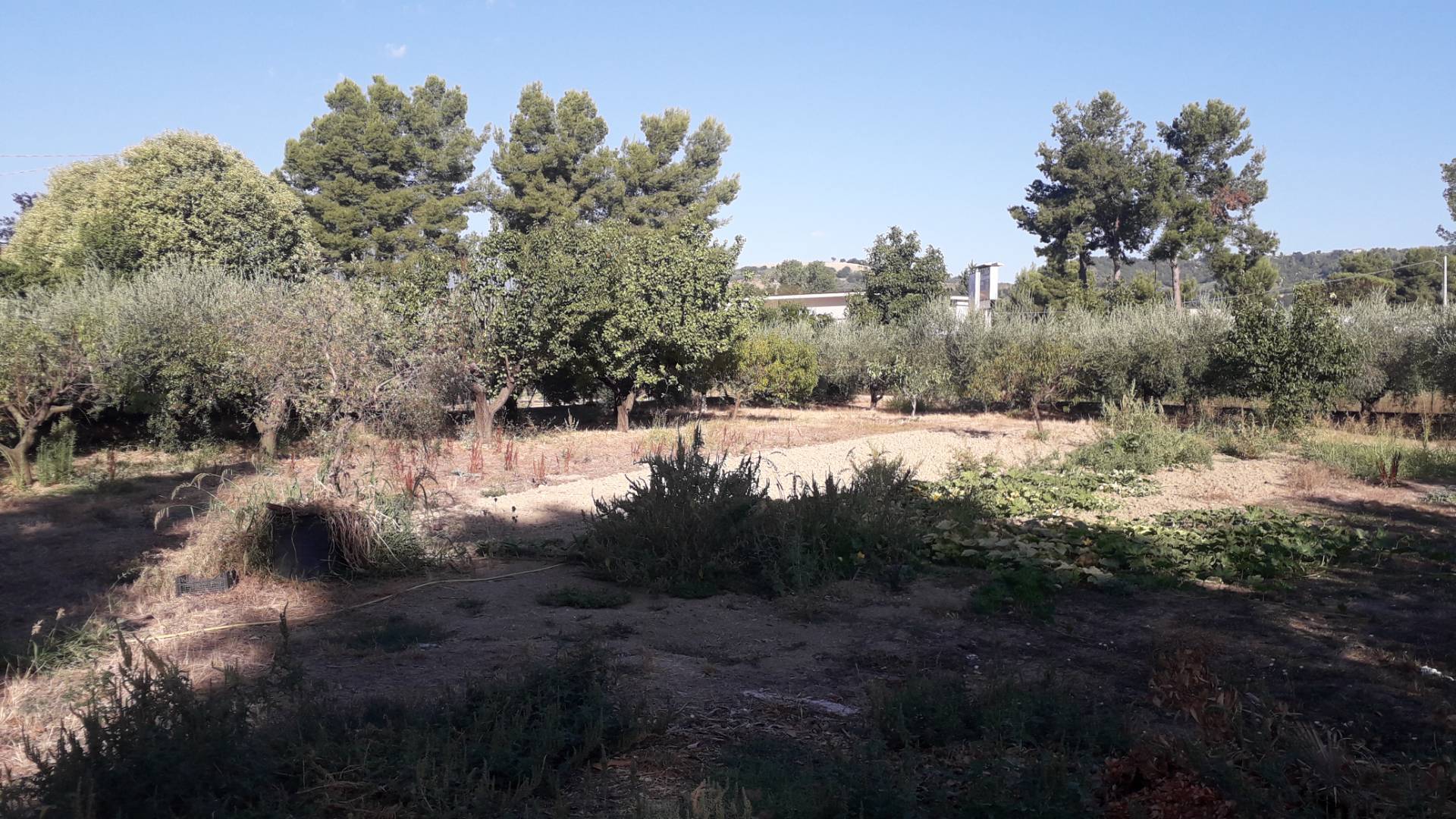 Terreno edificabile in vendita a Manoppello, Manoppello Scalo