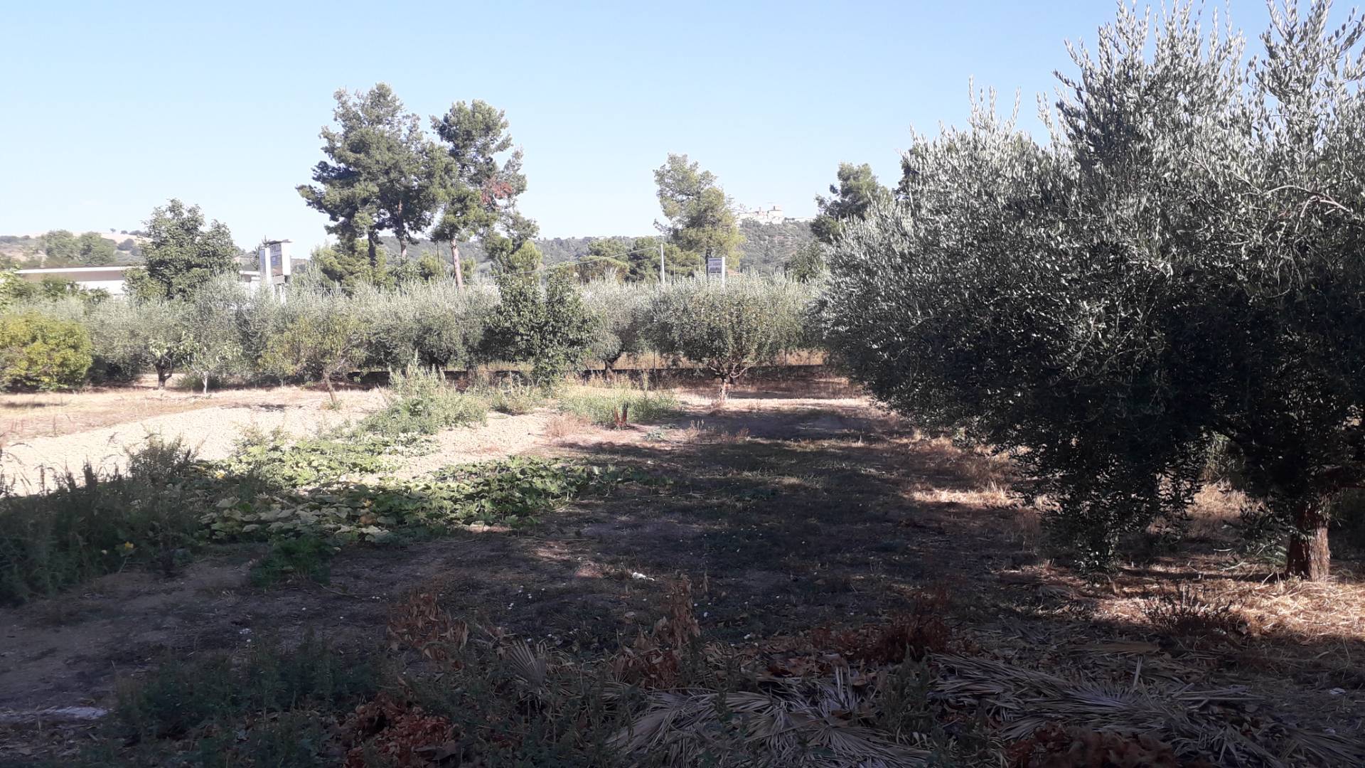 Terreno edificabile in vendita a Manoppello, Manoppello Scalo