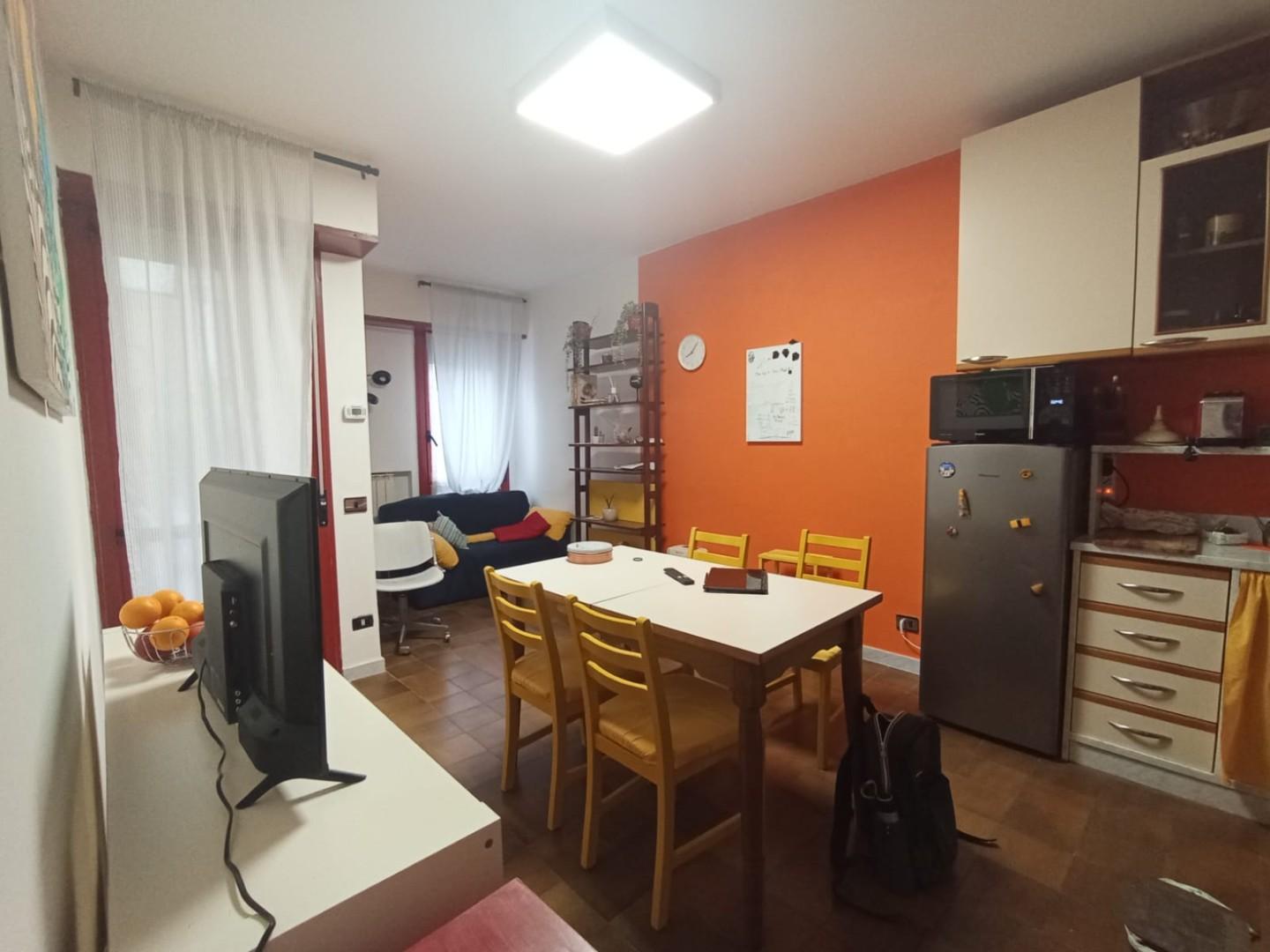 Trilocale con giardino, Pisa porta fiorentina