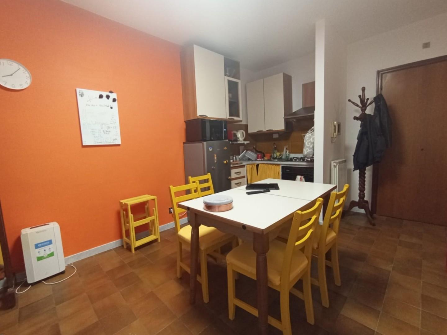 Trilocale con giardino, Pisa porta fiorentina