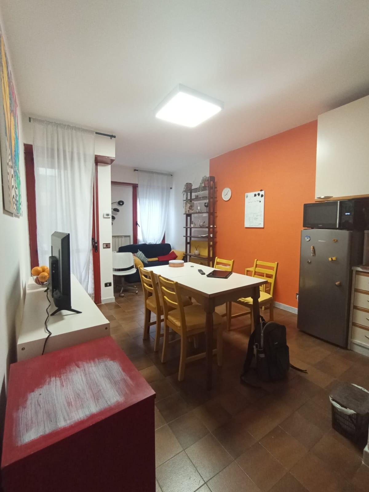 Trilocale con giardino, Pisa porta fiorentina