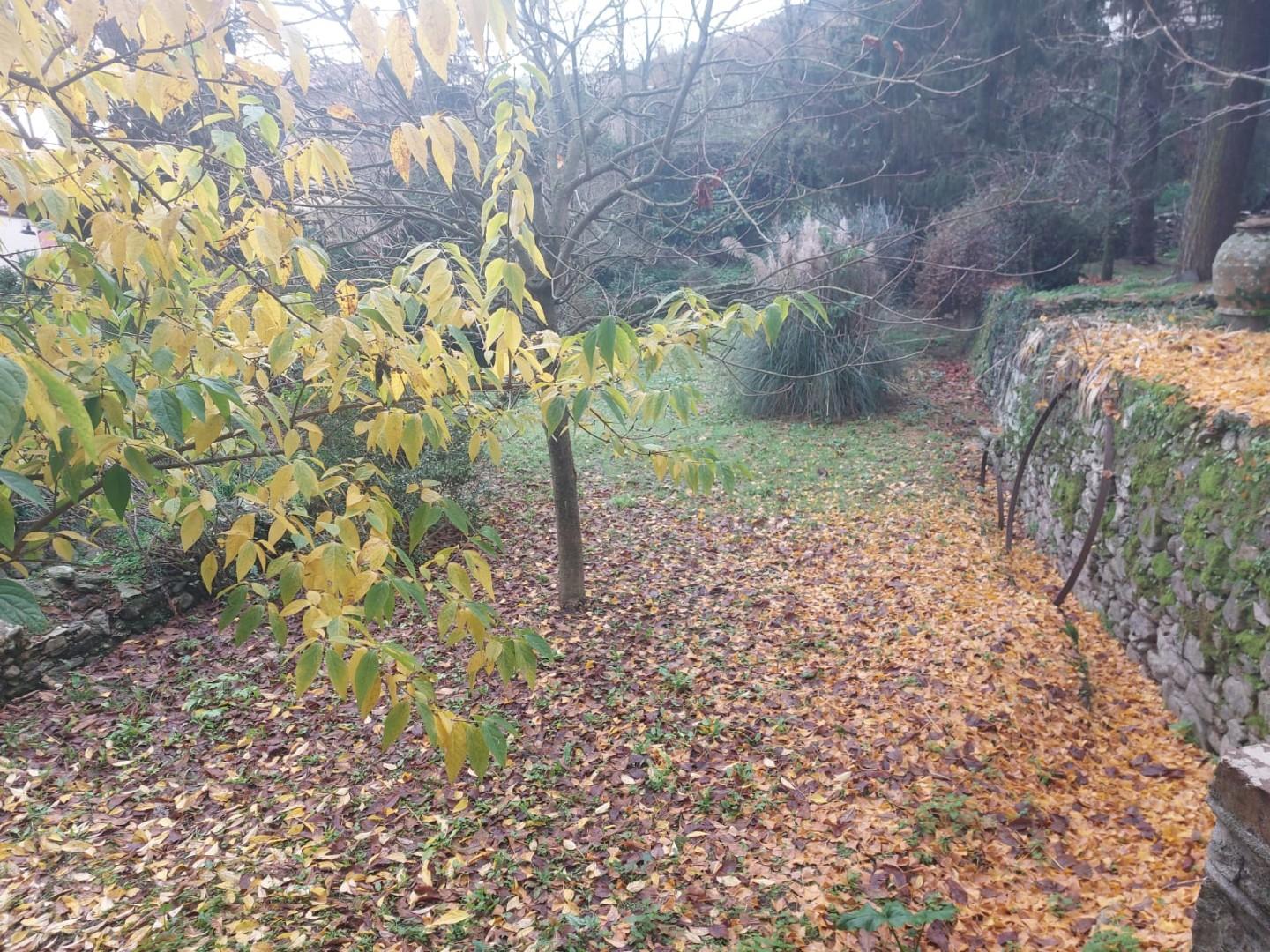 Stabile/Palazzo con giardino a Buti