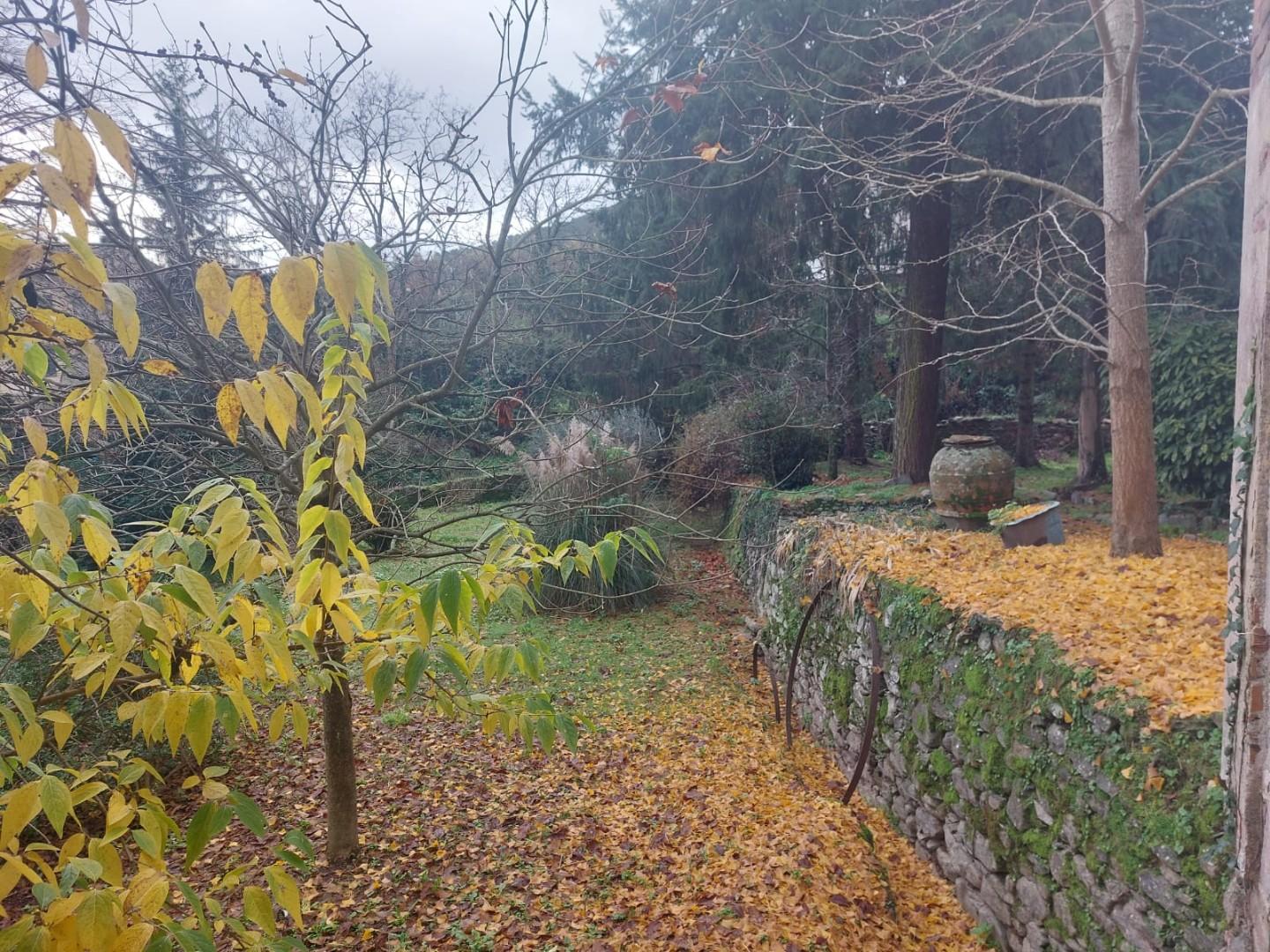 Stabile/Palazzo con giardino a Buti