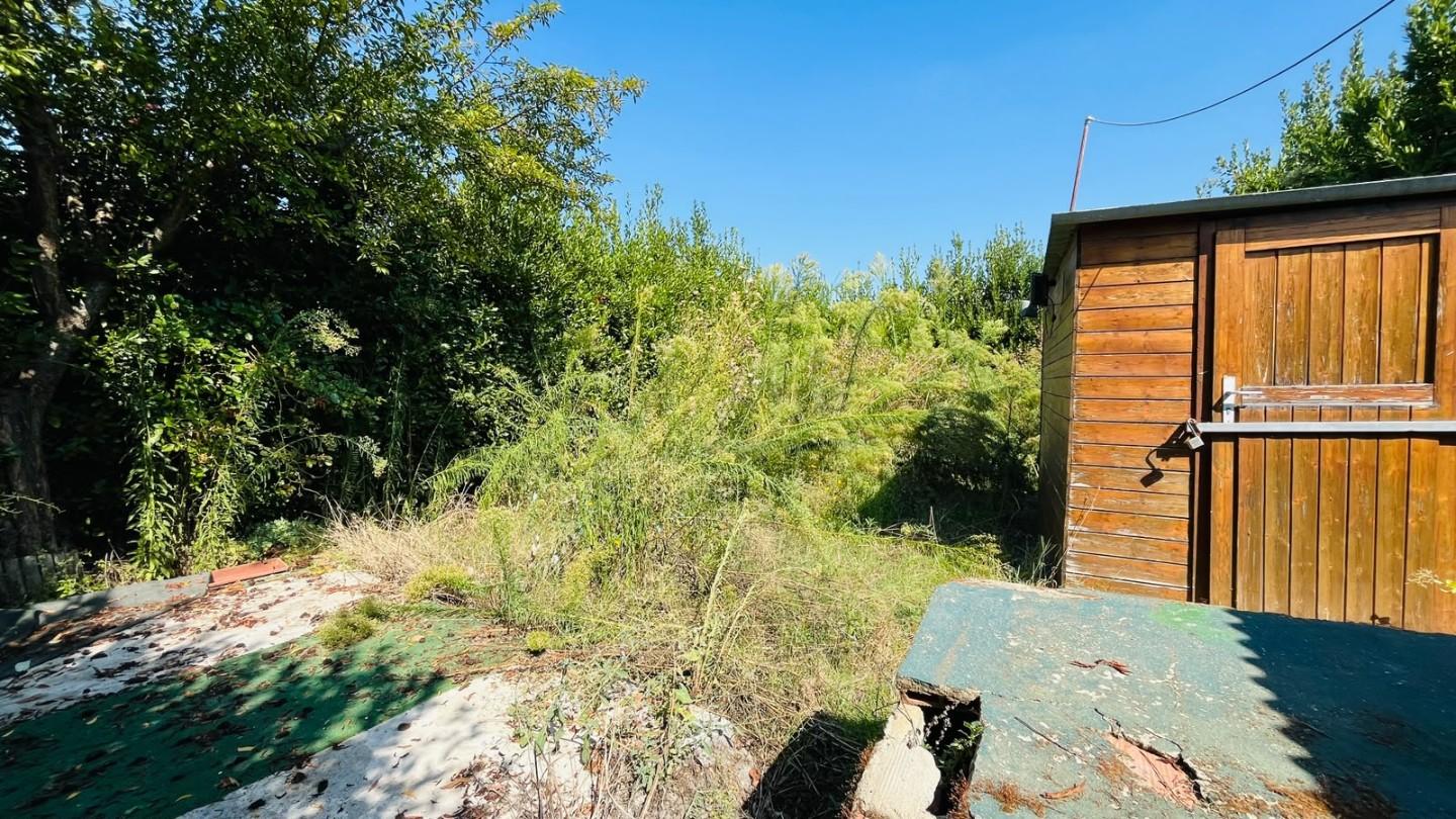 Casa indipendente con giardino, Cascina navacchio