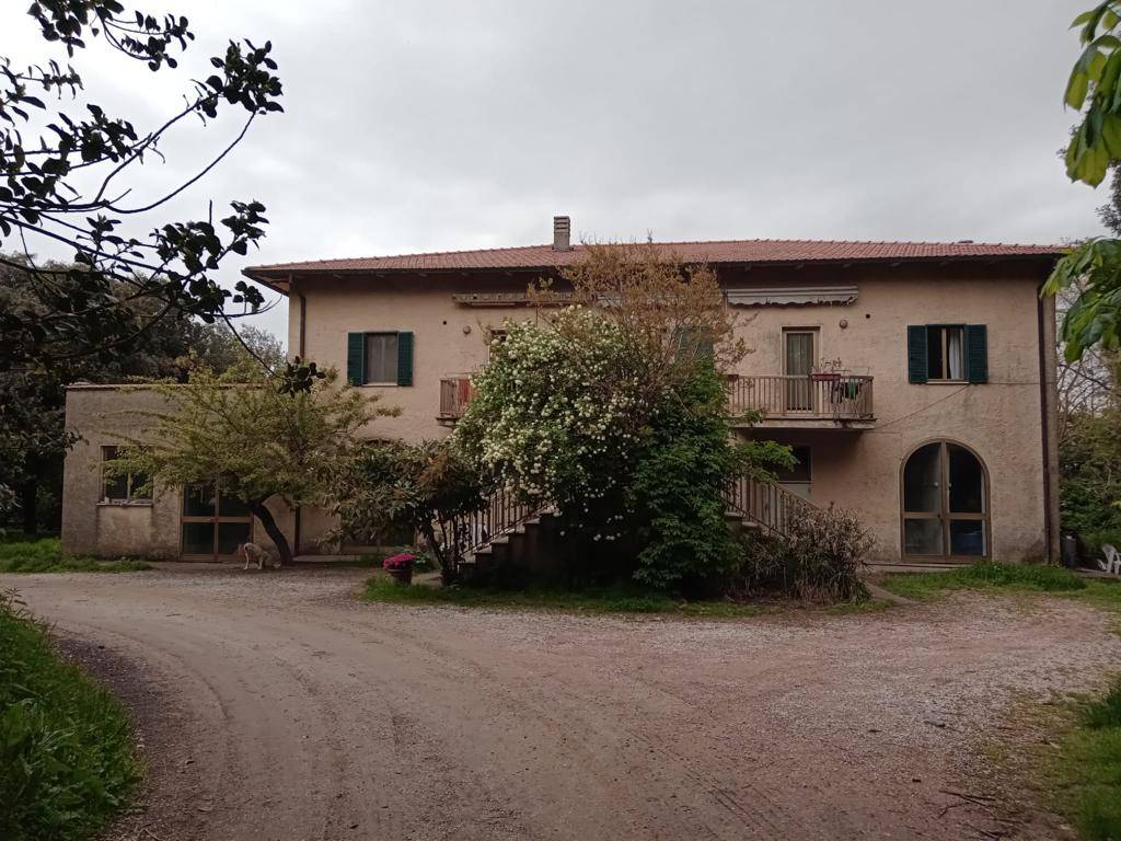 Tenuta in vendita a Scansano, Campagna