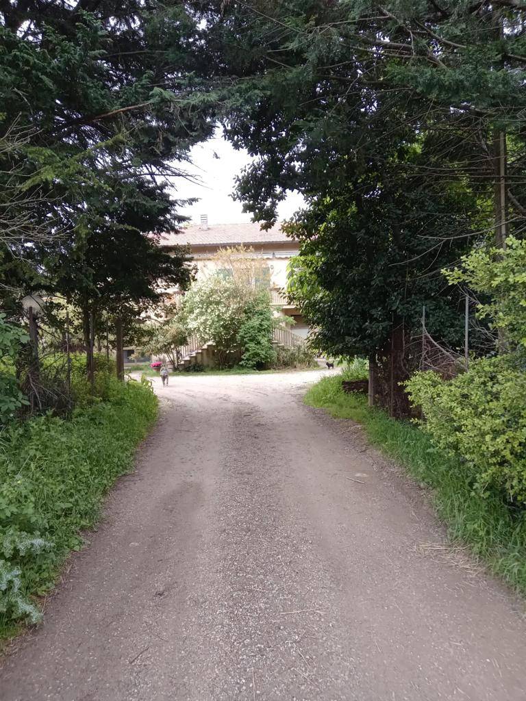 Tenuta in vendita a Scansano, Campagna