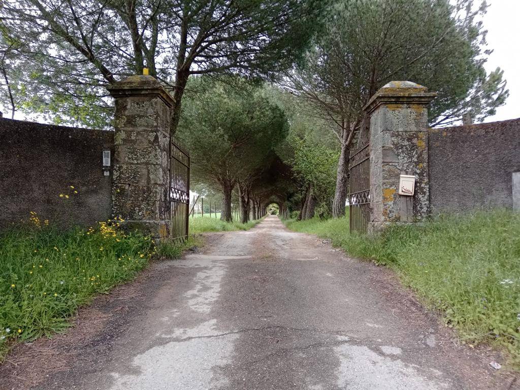 Tenuta in vendita a Scansano, Campagna