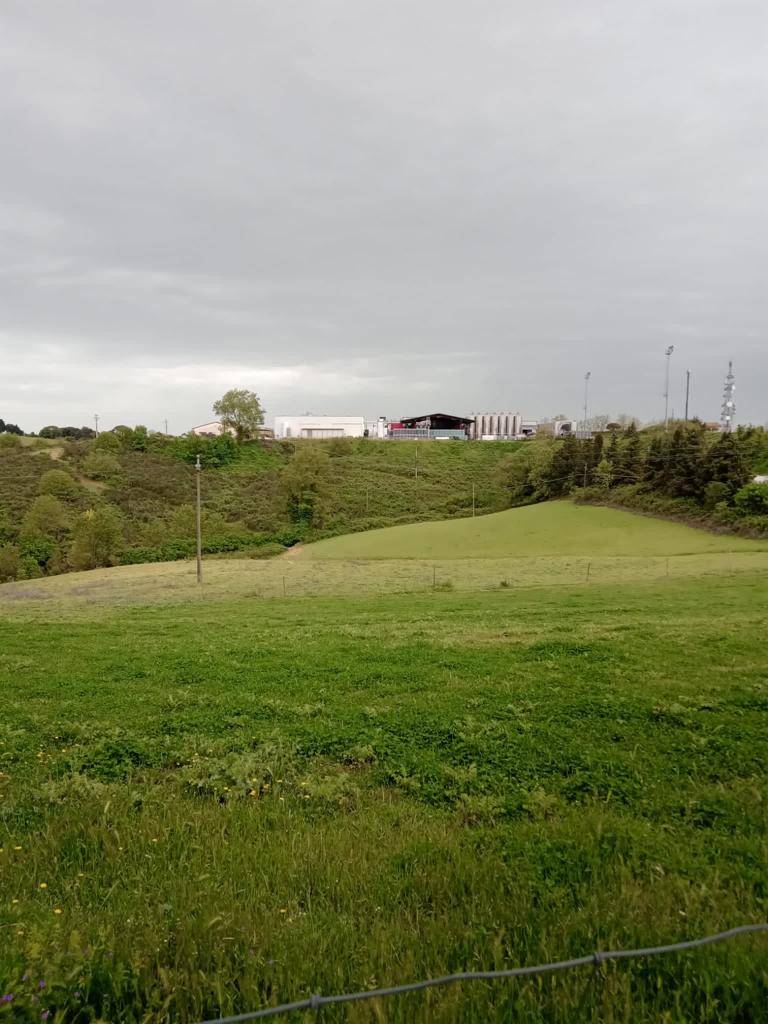 Tenuta in vendita a Scansano, Campagna