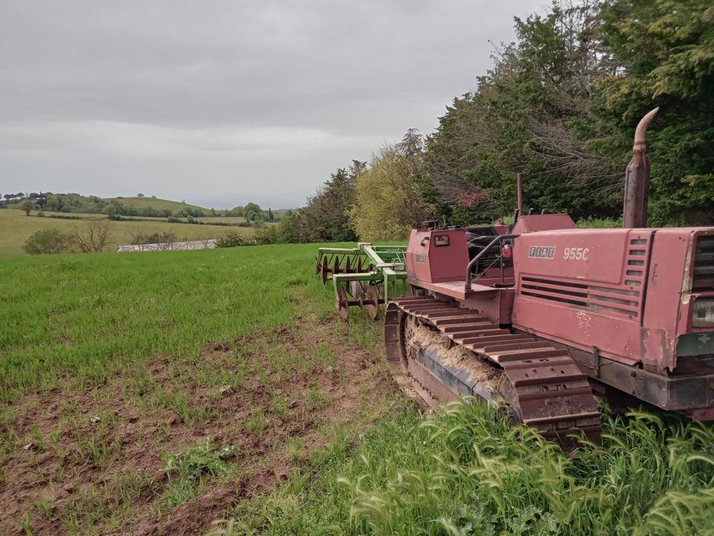 Tenuta in vendita a Scansano, Campagna
