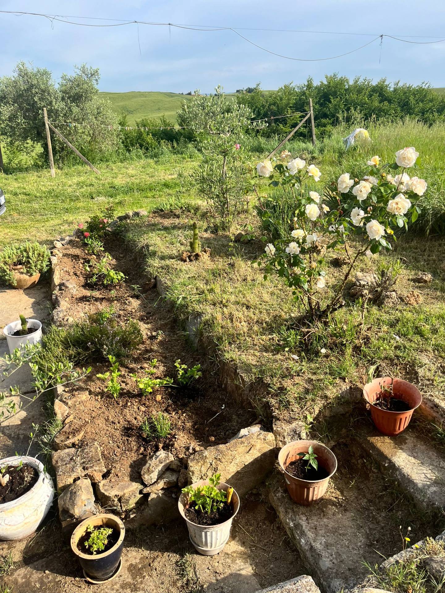 Appartamento in affitto a Monteroni d'Arbia