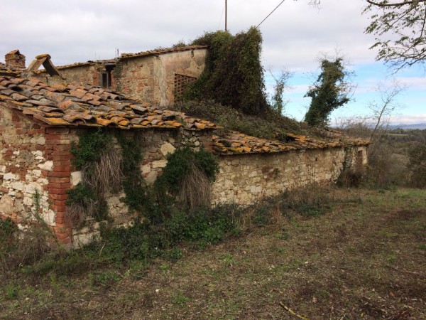 Podere in vendita a Asciano
