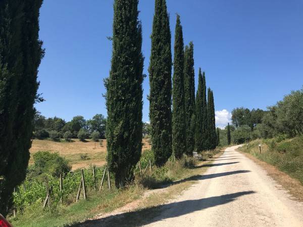 Villa Unifamiliare in vendita a Siena, Fuori Porta Romana