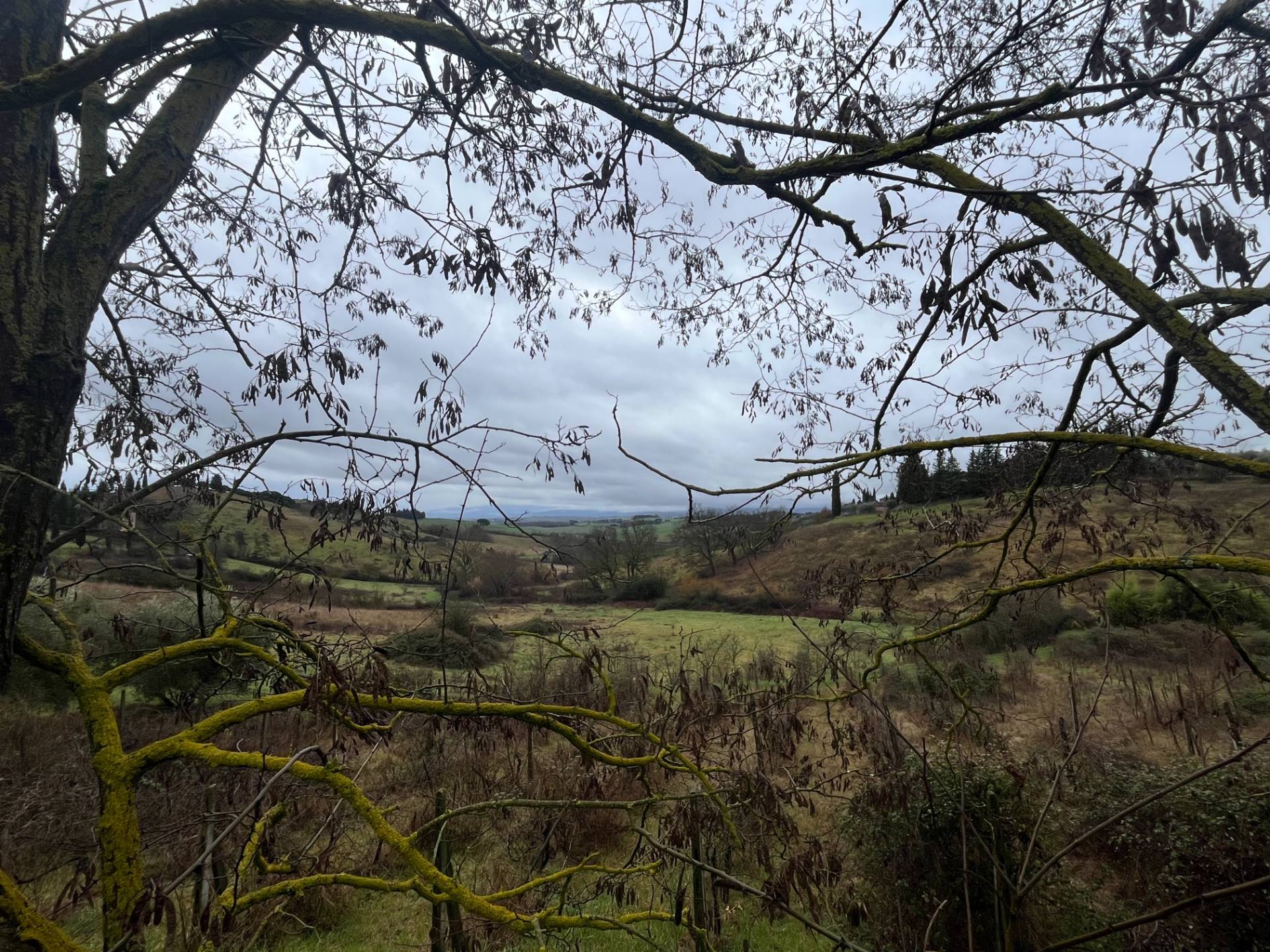 Villa Unifamiliare in vendita a Siena, Fuori Porta Romana