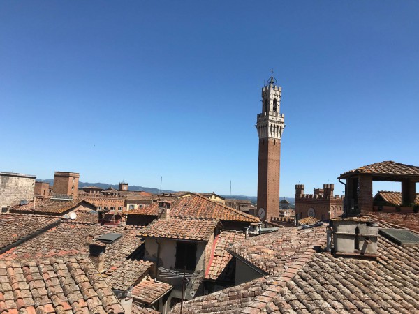 Appartamento in affitto a Siena