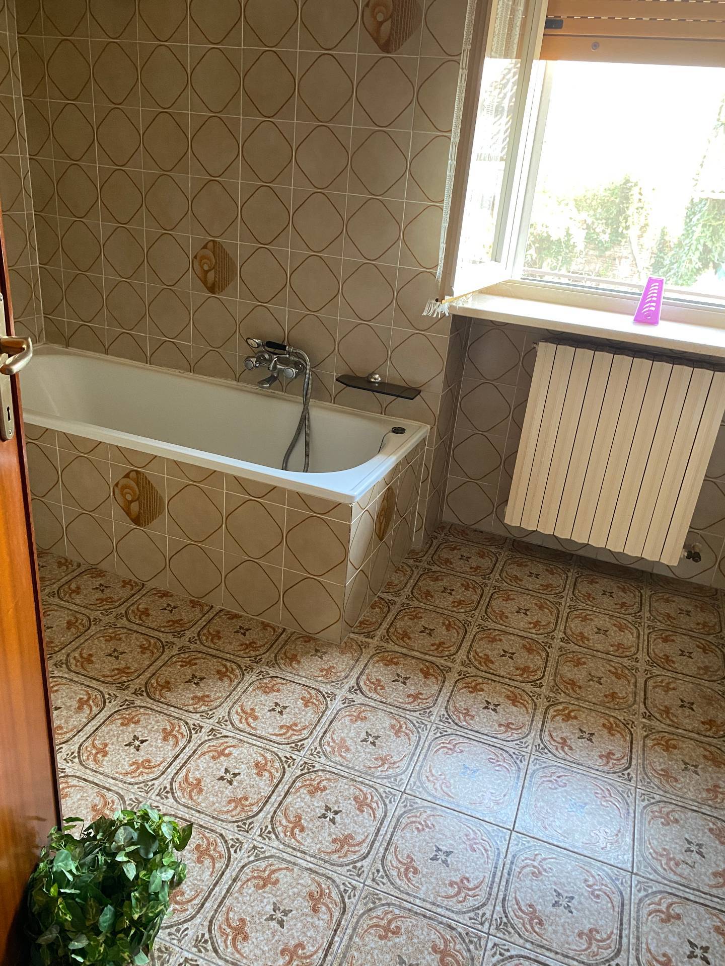 Casa indipendente in vendita a Casalvolone