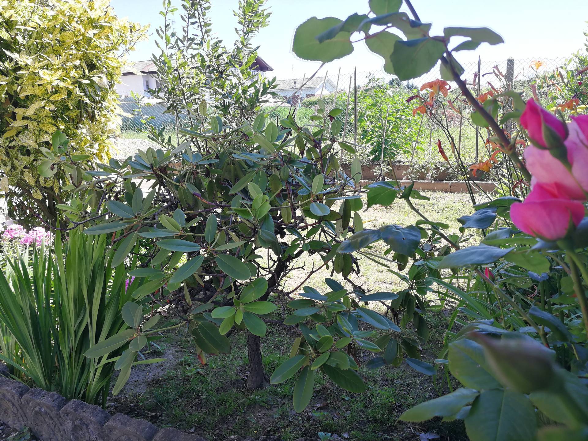 Villetta bifamigliare in vendita a Galliate