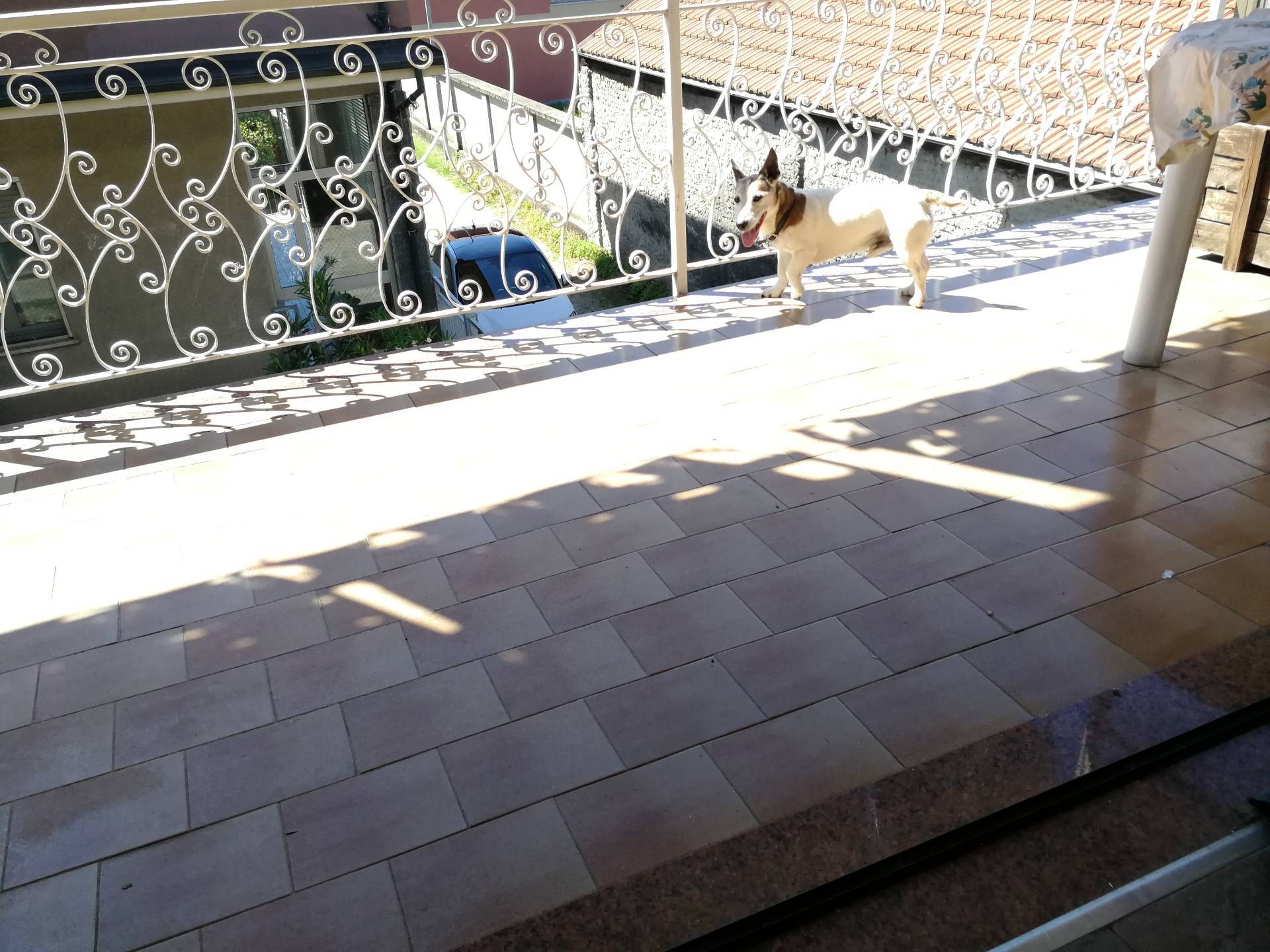 Villetta bifamigliare in vendita a Galliate